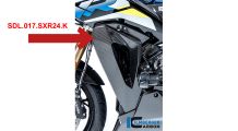 BMW S 1000 XR (2020- ) Cubierta de carbono en el carenado del enfriador de agua