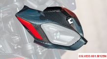  BMW S1000R (2021- ) Carenado frontal