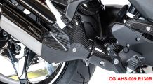  BMW R1300R Protector de carbono delantero para escape