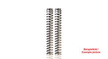  BMW F450GS Muelles de horquilla progresivos Wilbers
