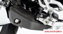  BMW R 1250 R Protector de carbono para escape