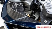  BMW R 1250 RS Cubierta de carbono para parte lateral de los instrumentos