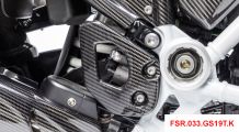  BMW R 1250 GS & R 1250 GS Adventure Taloneras de fibra de carbono - derecho