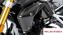  BMW R 1250 R Tapa del radiador de carbono