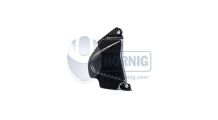  BMW S1000RR (2009-2018) Cubierta de carbono para piñón frontal
