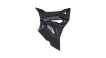  BMW S1000RR (2019- ) Cubierta de carbono para piñón frontal