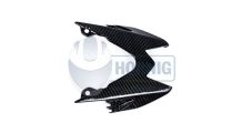  BMW S1000RR (2009-2018) Cubierta para luz trasera