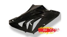  BMW S1000RR (2009-2018) Carenados laterales - Calle