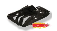  BMW S1000RR (2009-2018) Carenados laterales - Pista de Carreras