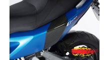  BMW C 600 Sport Protectores traseros