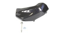  BMW R 1250 RS Cubierta de carbono para lado derecho (protección para cilindros)