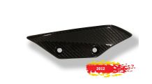  BMW S1000RR (2009-2018) Aleta de Carbono para Carenado