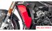 BMW S 1000 XR (2020- ) Tapa del radiador de carbono (completo)