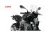 BMW F900R Parabrisas Touring Euro 5+