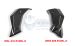 BMW R 1200 R, LC (2015-2018) Tapa del radiador de carbono