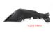 BMW S 1000 XR (2020- ) Carbon Carenados laterales