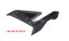 BMW S1000R (2021- ) Carbon Carenados laterales