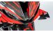 BMW S1000RR (2019- ) Parte media del carenado de carbono