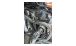 BMW R 18 Luces de LED Adicionales