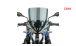 BMW R 1250 R ZTechnik Parabrisas
