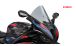 BMW S1000RR (2019- ) Parabrisas R-Racer