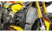 BMW S 1000 XR (2015-2019) Tapa del radiador de carbono