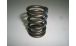 BMW R 80 modelo Muelle para válvula modelos R2V