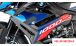 BMW S1000R (2021- ) Carbon Carenados laterales