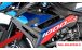 BMW S1000R (2021- ) Tapa del radiador de carbono