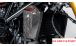 BMW R12nineT, R12, R12S & R12G/S Cubierta enfriador de aceite de carbono