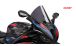 BMW S1000RR (2019- ) Parabrisas R-Racer