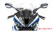 BMW S1000RR (2019- ) Carenado frontal