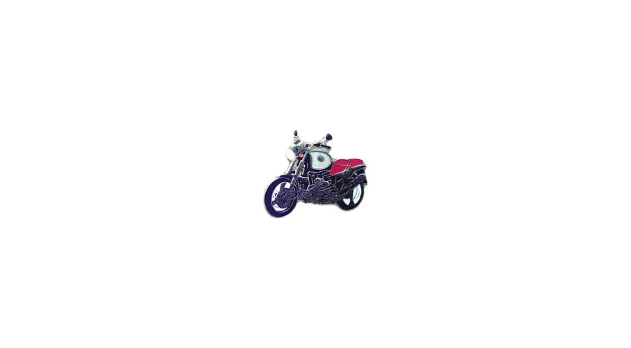 BMW R850R, R1100R, R1150R & Rockster Pin R 1100 R