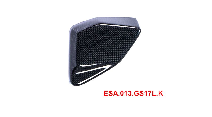 BMW R 1200 GS LC (2013-2018) & R 1200 GS Adventure LC (2014-2018) Cubierta de carbono para caja ESA