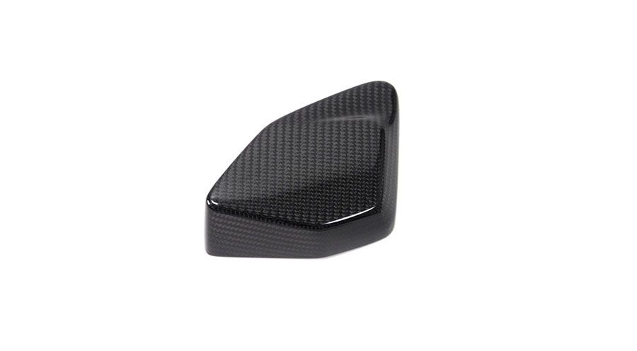 BMW R 1250 GS & R 1250 GS Adventure Cubierta de carbono para caja ESA