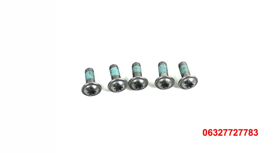 BMW S1000R (2021- ) 5 tornillos M6x16 MK