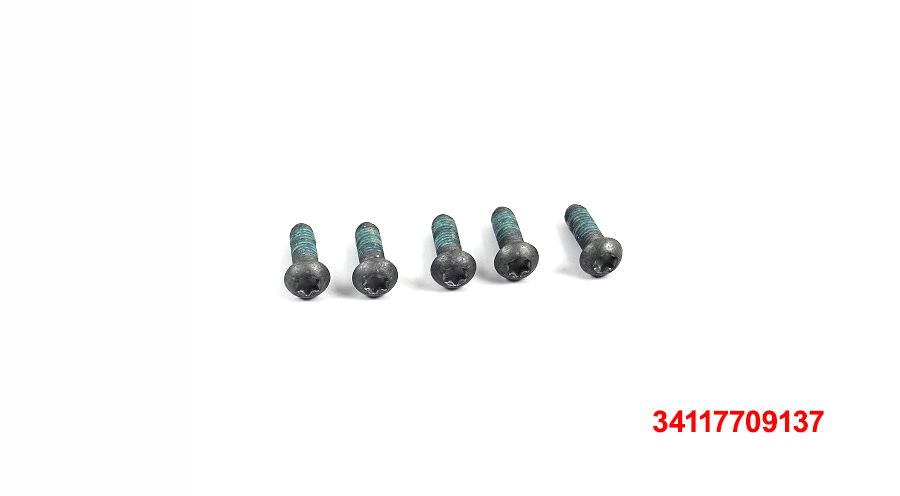BMW F650GS (08-12), F700GS & F800GS (08-18) 5 tornillos M6x18-8.8-MK