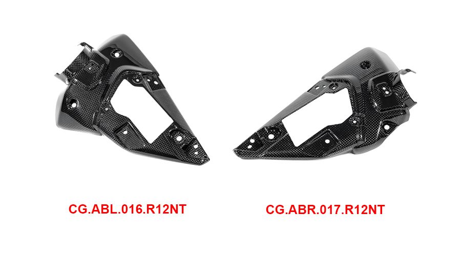 BMW R12nineT, R12, R12S & R12G/S Cubierta de caja de aire de carbono