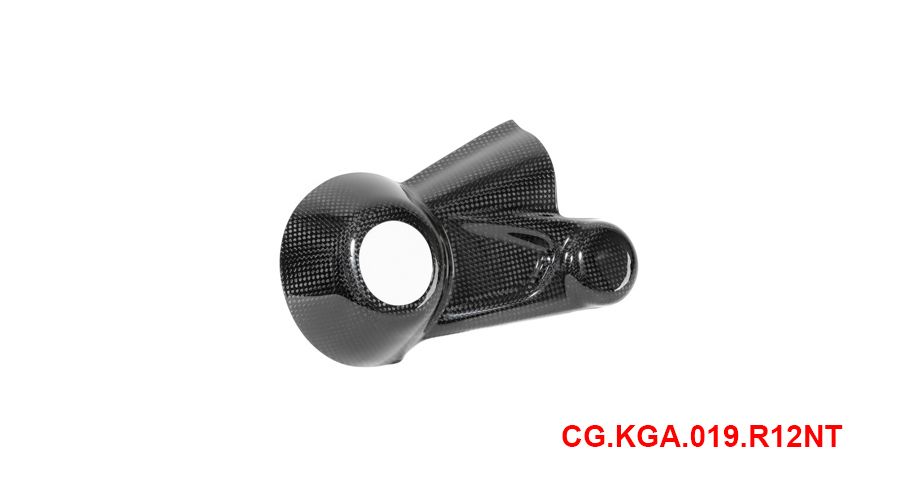 BMW R12nineT, R12, R12S & R12G/S Cubierta de la carcasa del cardán de carbono