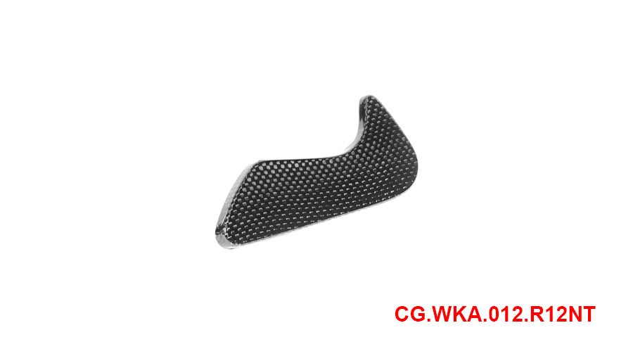 BMW R12nineT, R12, R12S & R12G/S Cubierta caja de instrumento de fibra de carbono