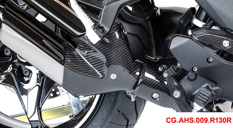 BMW R1300RS Protector de carbono delantero para escape