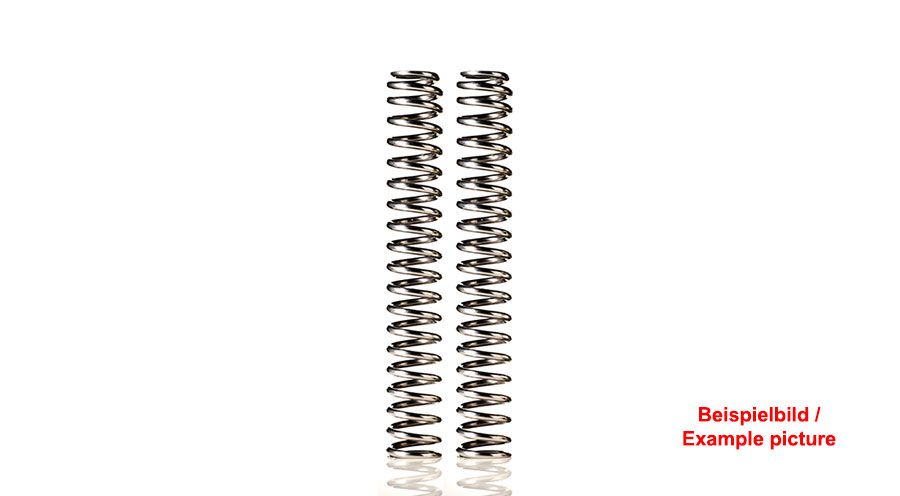 BMW F450GS Muelles de horquilla progresivos Wilbers