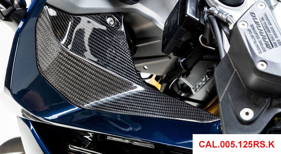 BMW R 1250 RS Cubierta de carbono para parte lateral de los instrumentos