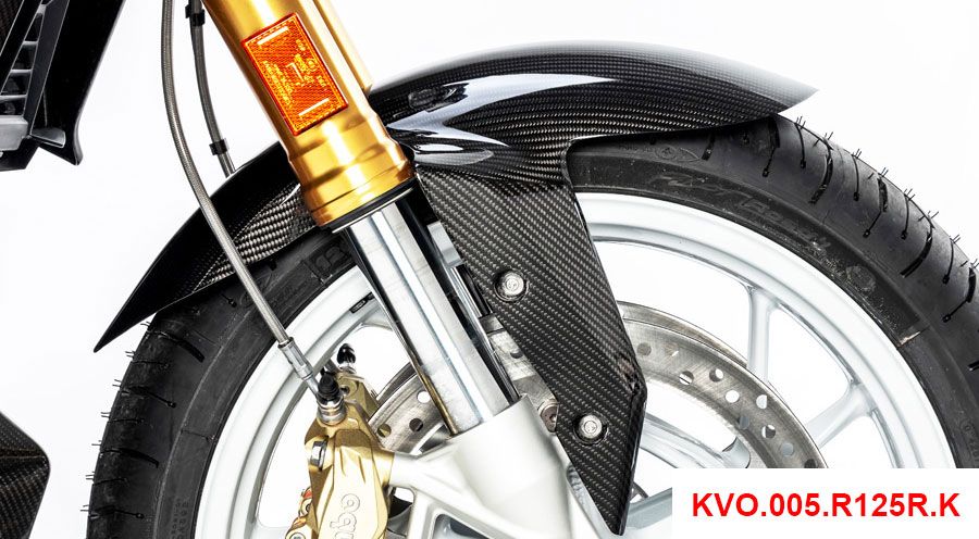 BMW R 1250 RS Guardafangos delantero de carbono