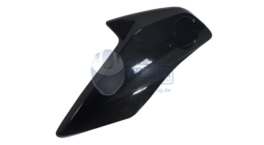BMW R 1200 GS LC (2013-2018) & R 1200 GS Adventure LC (2014-2018) Cubierta de carbono izquierda para enfriador