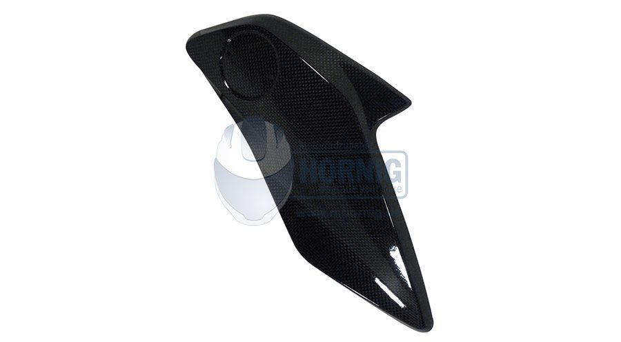 BMW R 1200 GS LC (2013-2018) & R 1200 GS Adventure LC (2014-2018) Cubierta de carbono para enfriador, lado derecho