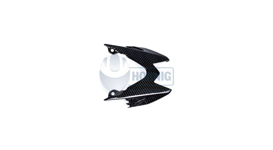 BMW S1000RR (2009-2018) Cubierta para luz trasera