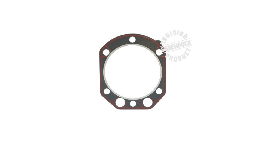BMW R 100 modelo Junta para cabeza de cilindro de 1070ccm