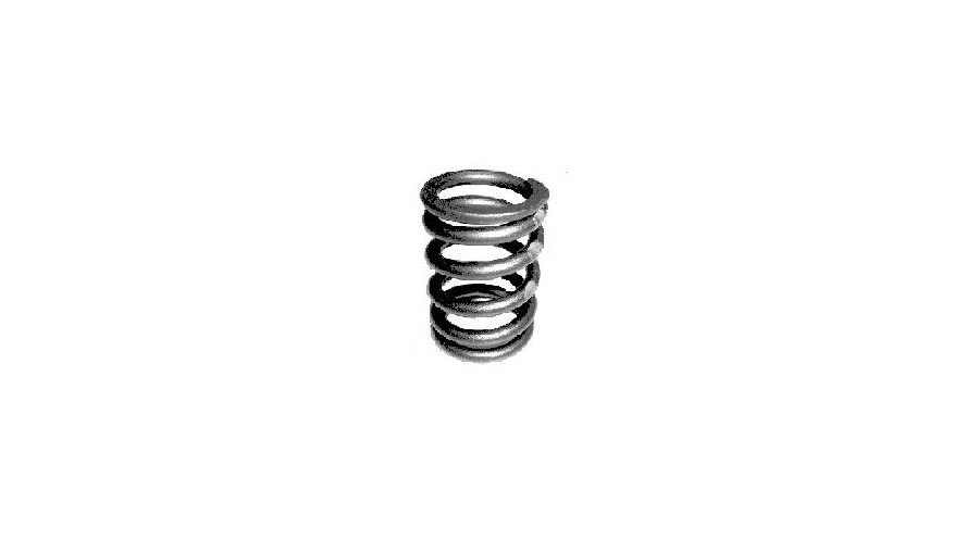 BMW R 80 modelo Muelle para válvula modelos R2V
