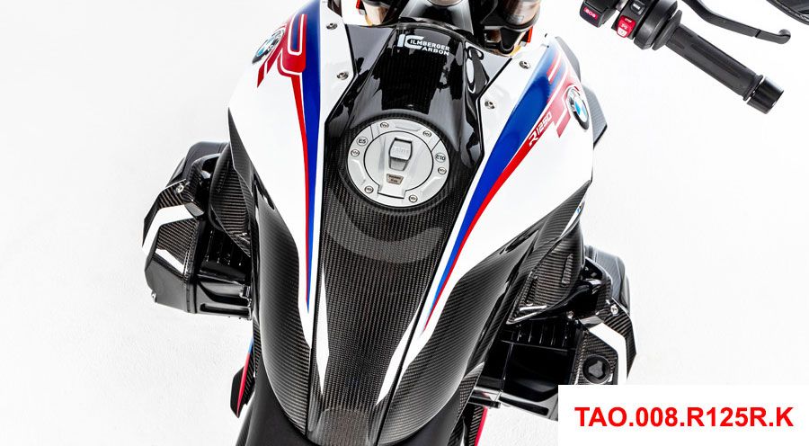 BMW R 1250 RS Panel central de carbono para tanque